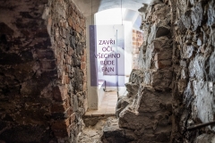 Simona Verni_0104
