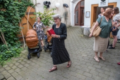 Jan_Dudesek_Verni_199