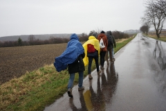 Doprovodný program k výstavě Fotosyntéza v Art Space NOV