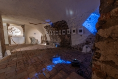 Fotosynteza_2274