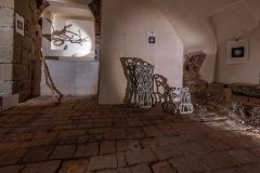 Fotosynteza_2280