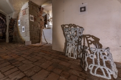 Fotosynteza_2283