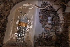 Fotosynteza_2287