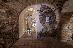 Fotosynteza_2289