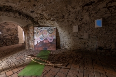Fotosynteza_2292