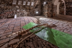 Fotosynteza_2301