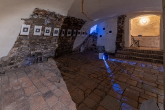 Fotosynteza_2304
