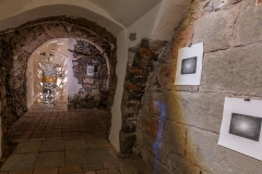 Fotosynteza_2308