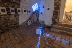 Fotosynteza_2310