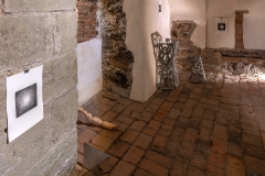 Fotosynteza_2316