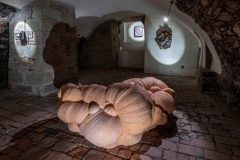 Kovářík_NOV_01038