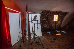 Opl_NOV_00052