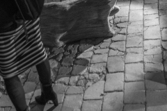 Paluch_NOV_00126